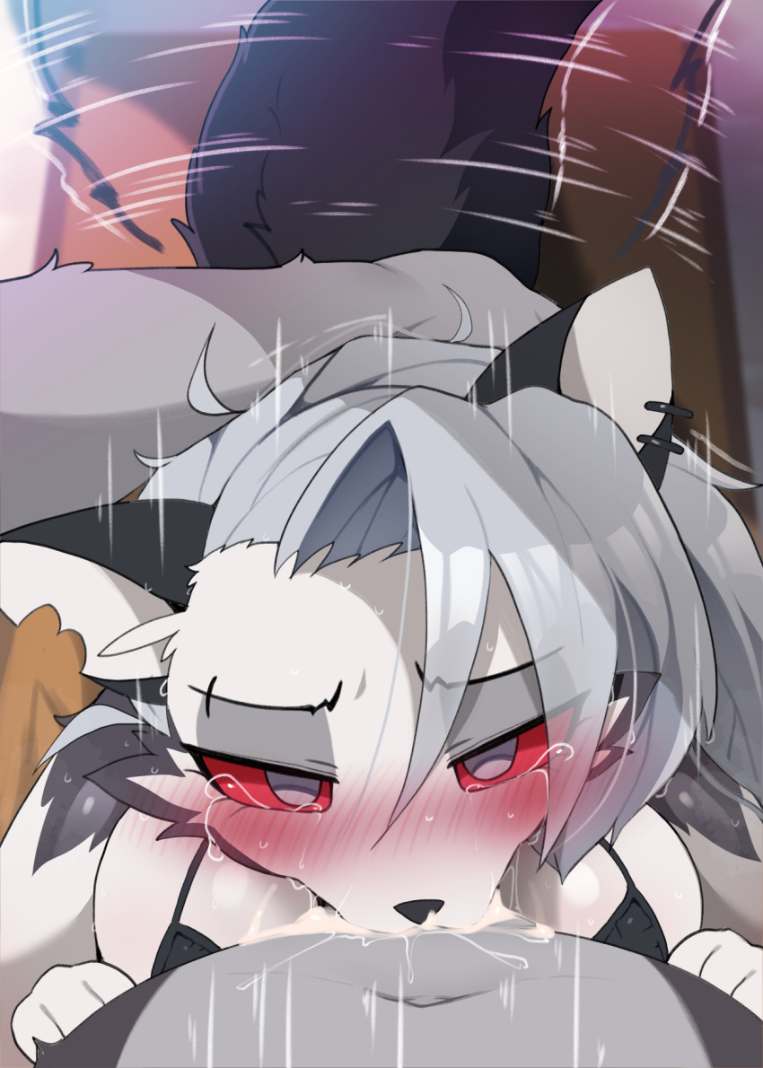 1boy 1girl animal_ears black_fur blush body_fur colored_sclera commentary dagasi deepthroat fellatio furry furry_female furry_male furry_with_furry grey_eyes grey_hair hand_on_another's_head helluva_boss hetero highres long_hair looking_at_viewer loona_(helluva_boss) motion_lines navel oral pov red_sclera tail tail_wagging tears two-tone_fur uncensored white_fur