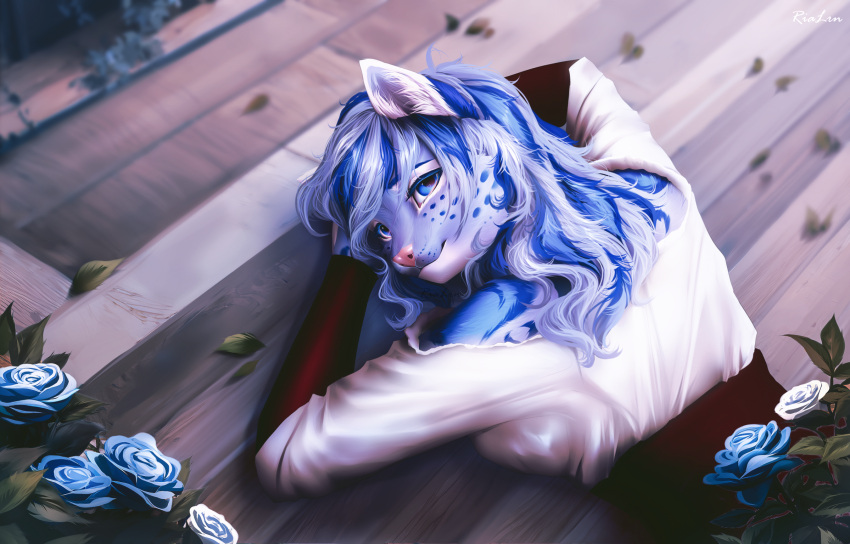 anthro bethesda_softworks blue_body blue_eyes blue_hair blue_rose blue_spots bracelet clothed clothing detailed_background felid female flower fur furniture grey_body grey_fur hair heart_eyes heart_symbol hi_res inside jewelry khajiit leopard long_hair looking_at_viewer looking_back looking_back_at_viewer m'ria_(maks_hunt) mammal markings microsoft on_table pantherine plant rose_(flower) rrrs shirt smile snow_leopard solo spots spotted_body spotted_fur table the_elder_scrolls topwear underbust_corset white_body white_fur