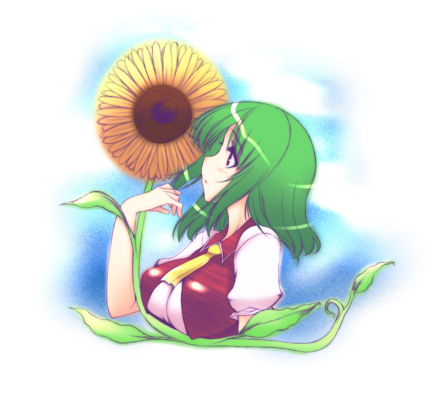 ascot breasts flower green_hair highres kazami_yuuka large_breasts oohira_sunset profile red_eyes short_hair solo sunflower touhou vest