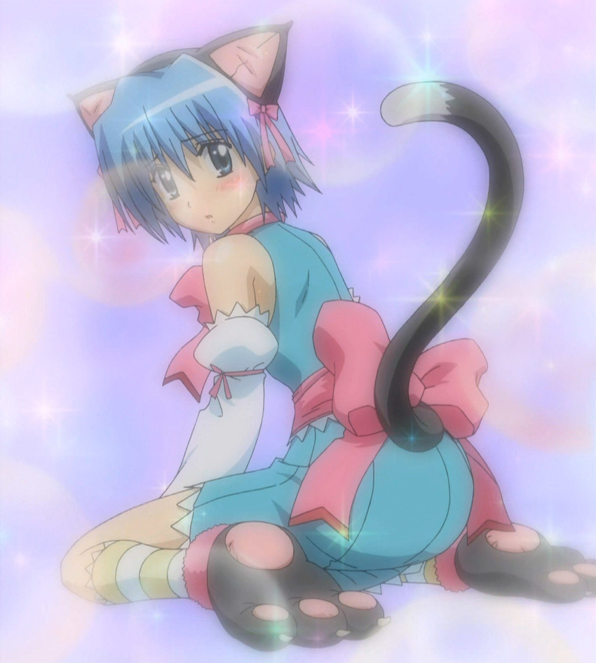 1boy animal_ears ayasaki_hayate cat_ears cat_tail crossdressing hayate_no_gotoku! highres patterned_legwear tail trap two-tone_stripes white_stripes