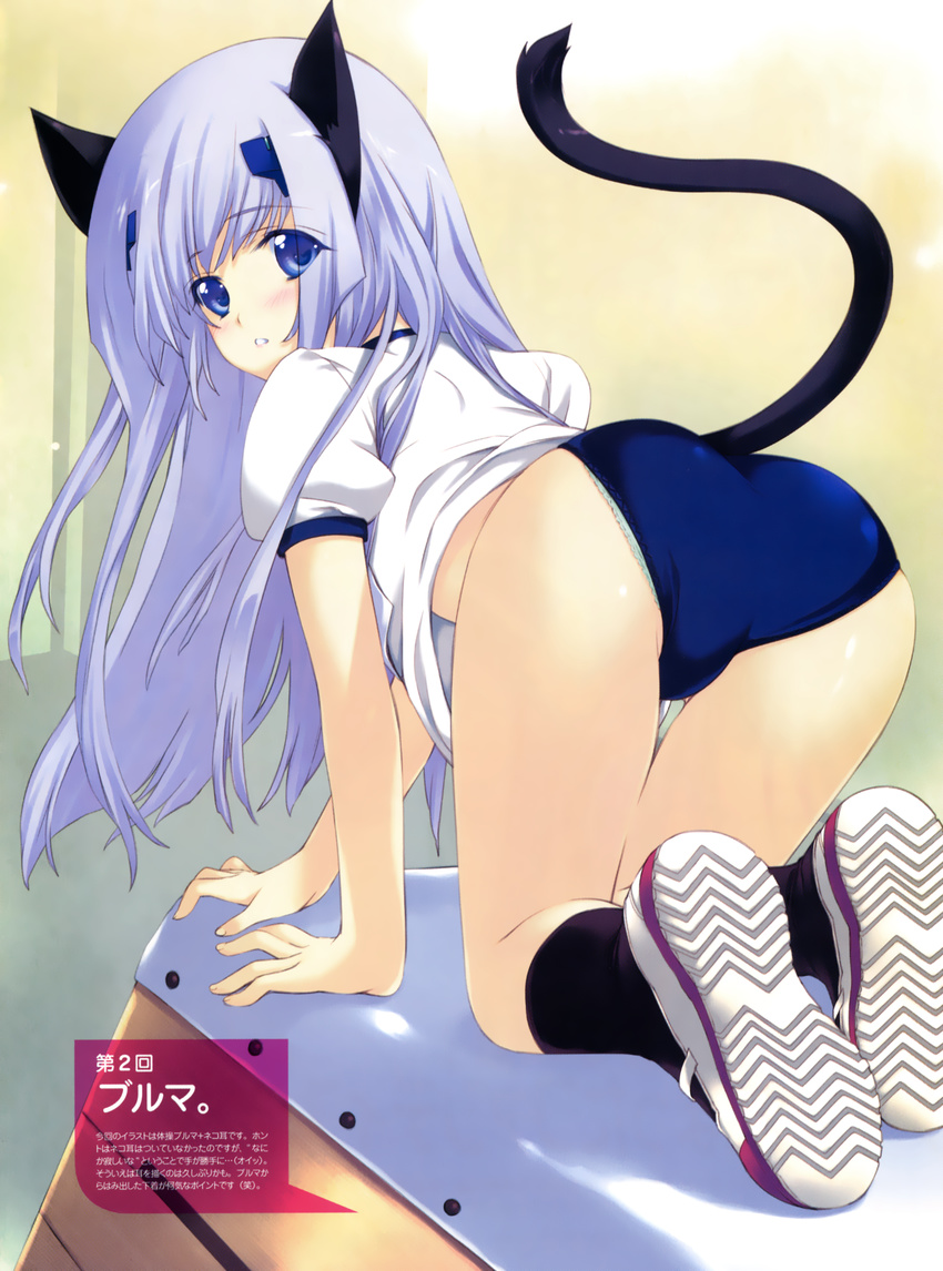 absurdres all_fours animal_ears ass blue_eyes blue_hair blush buruma cat_ears gym_uniform highres iizuki_tasuku inia_sestina looking_back muvluv muvluv_alternative muvluv_total_eclipse scan solo tail thigh_gap