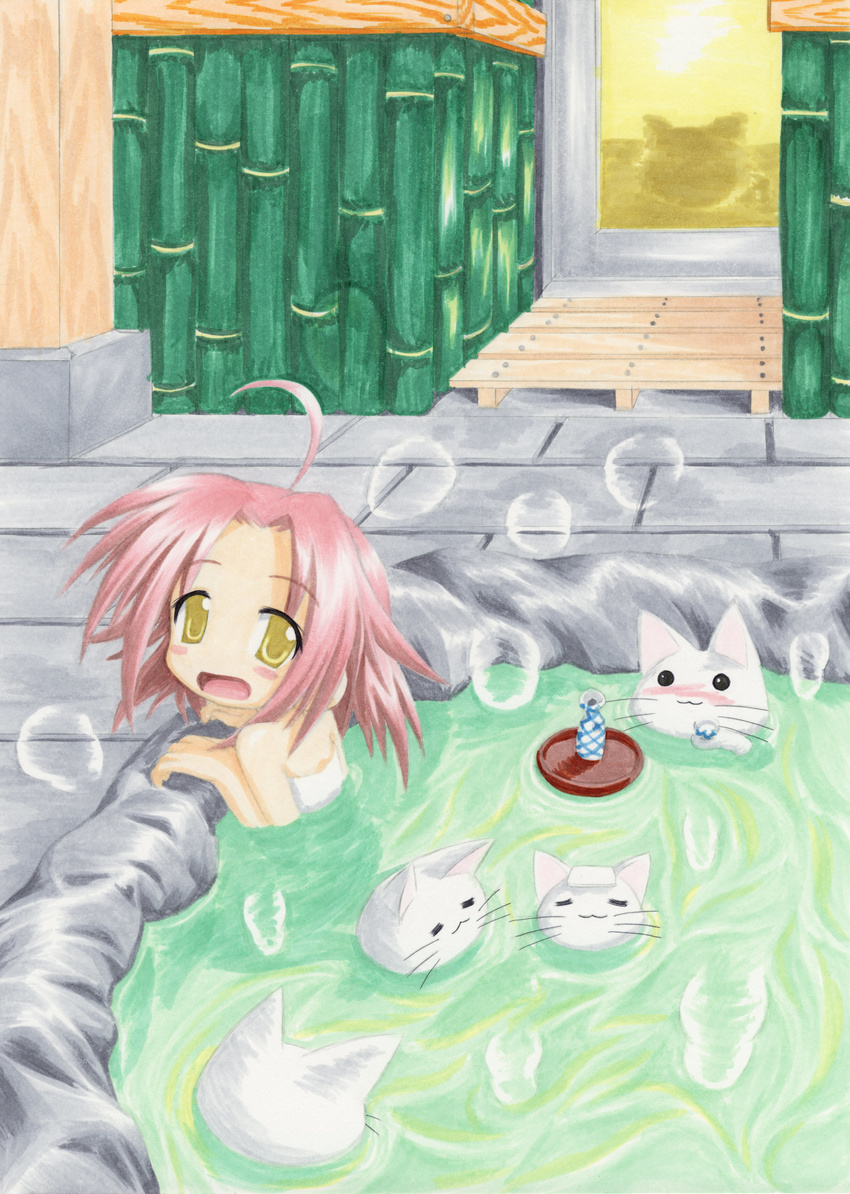 absurdres ahoge alcohol artist_request bottle bubble cat cathead drunk highres kogami_akira lucky_star nyamou onsen pink_hair sake solo tray yellow_eyes