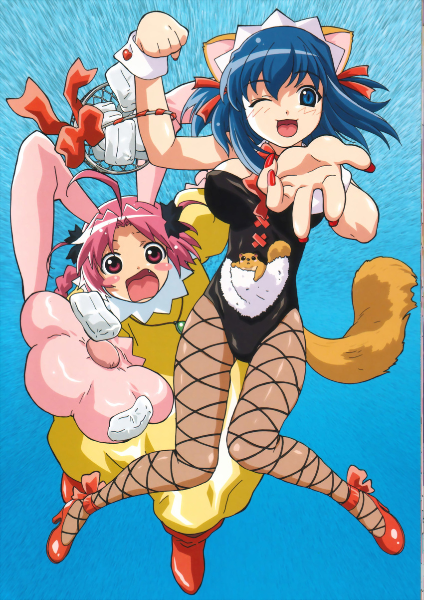 absurdres animal_ears artist_request blue_eyes blue_hair bunny_ears fang fishnet_pantyhose fishnets highres kokubunji_koyori leotard multiple_girls nail_polish nakahara_komugi nurse_witch_komugi-chan one_eye_closed open_mouth pantyhose pink_eyes pink_hair playboy_bunny_leotard raccoon_ears red_nails tail