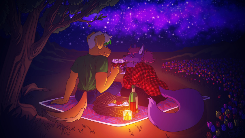 absurd_res alcohol alcohol_bottle anthro bedding beverage beverage_bottle bird_dog blanket bottle candlelight canid canine canis container cosmic_background domestic_dog duo female flower golden_retriever green_hair hair hi_res highlights_(coloring) hotdogvendor hunting_dog light male male/female mammal picnic pink_hair plant retriever star wine wolf