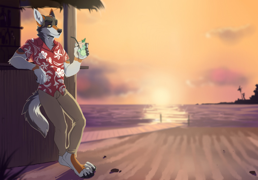 2017 4_toes 5_fingers alcohol anthro beach bedroom_eyes beverage biped black_nose brown_bottomwear brown_clothing brown_pants cabana canid canine canis clothed clothing cloud detailed_background digital_drawing_(artwork) digital_media_(artwork) dock drmax floral_pattern food fruit full-length_portrait fully_clothed fur gaze grey_fur half-closed_eyes hawaiian hawaiian_shirt hi_res ice invalid_tag leaning lime looking_at_viewer male mammal multicolored_fur muscular neck_tuft orange_fur orange_sky outside pants pawpads pinnup pointy_ears portrait sand sea seaside seductive shirt sky smile smug solo straw sunset toes tree tropics tuft vincent water white_fur wolf yellow_eyes