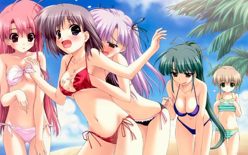 ahoge bandeau beach bikini blue_eyes blush boy_meets_girl braid breast_envy breast_grab breasts brown_hair cleavage day duplicate flat_chest front-tie_top grabbing green_eyes green_hair grey_hair groping hair_ribbon highres kasugano_haruna kumotani_chizuru large_breasts leaning_forward long_hair lowleg lowleg_bikini midriff multiple_girls naughty_face open_mouth outdoors pink_hair ponytail purple_eyes purple_hair ribbon shingyouji_mao shintarou short_hair side-tie_bikini side_braid souma_nanami sports_bikini strapless striped striped_bikini striped_swimsuit surprised surprised_arms swimsuit tsubasa_miu tubetop two_side_up underboob very_long_hair wallpaper widescreen