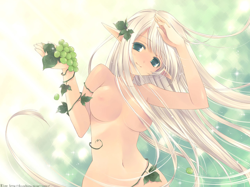 blonde_hair breasts copyright_request elf food fruit grapes green_eyes holding holding_food holding_fruit large_breasts leaf long_hair nipples nude pointy_ears solo sparkle touto_seiro upper_body wallpaper white_hair