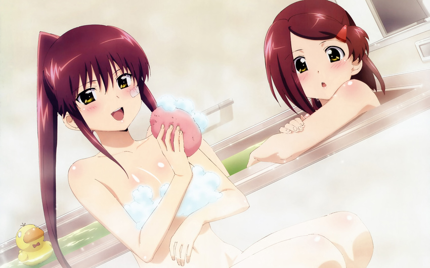 kissxsis tagme