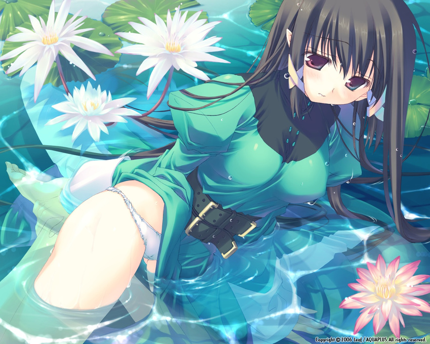 ankle_grab barefoot belt black_hair blush cameltoe dress dress_lift elf feet flower fullani game_cg green_dress hair_ribbon hands_on_feet kneeling lace lace-trimmed_panties lily_pad long_hair long_sleeves looking_down lowleg lowleg_panties mitsumi_misato nun panties pantyshot pantyshot_(kneeling) pointy_ears purple_eyes ribbon sierramylene solo submerged thighs tress_ribbon underwear wallpaper water water_lily_flower wet wet_clothes white_panties