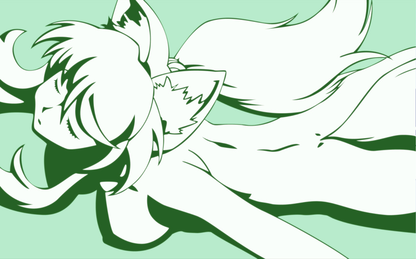 animal_ears breasts green green_background highres large_breasts liru long_hair monochrome negativezero nude renkin_san-kyuu_magical_pokaan simple_background solo tail vector_trace wallpaper wolf_ears wolf_tail