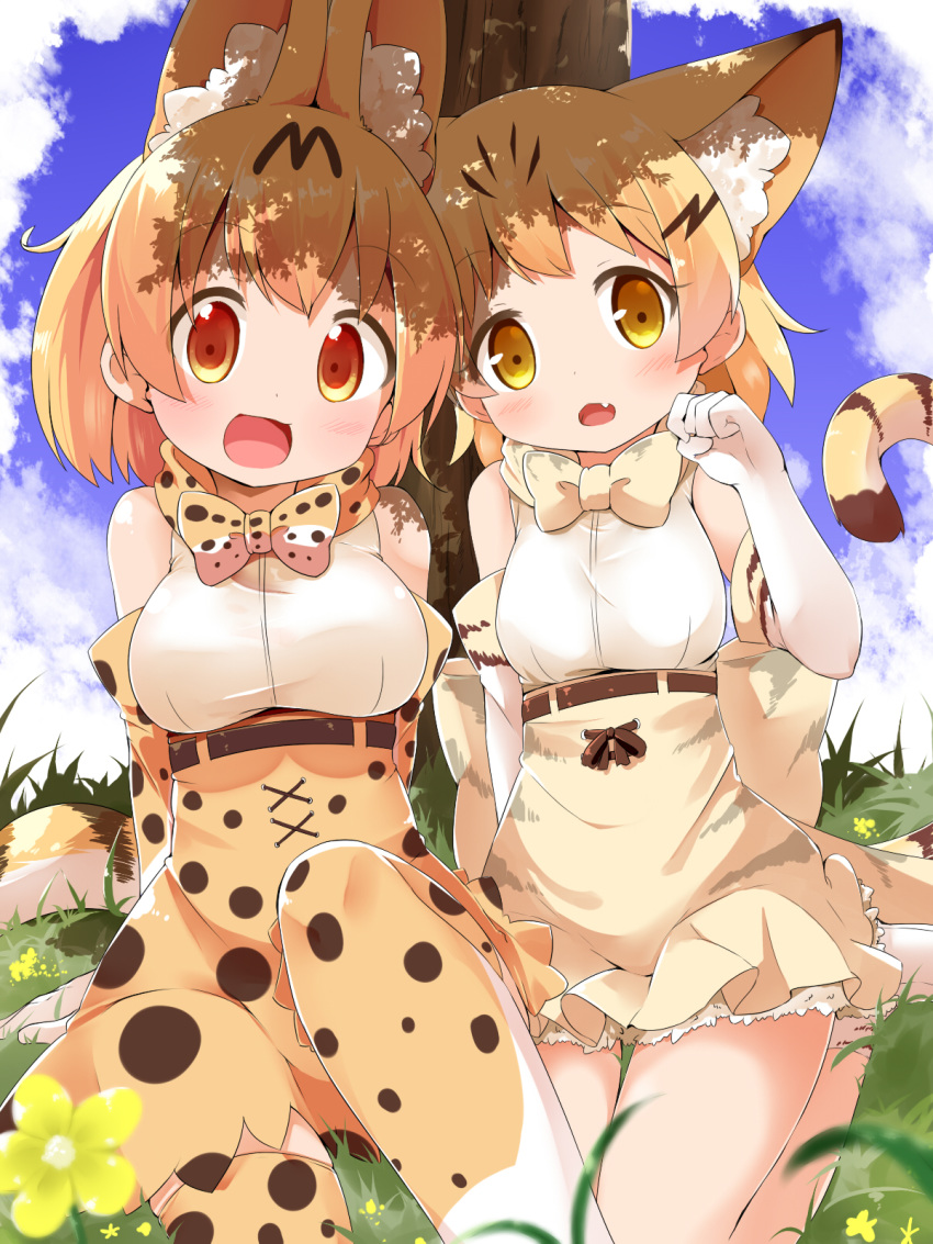 2girls :d animal_ear_fluff animal_ears bare_shoulders blonde_hair blue_sky blush bow bowtie breasts brown_eyes cat_ears cat_girl cat_tail cloud cloudy_sky commentary_request day elbow_gloves fang feet_out_of_frame gloves grass hand_up high-waist_skirt highres kemono_friends makuran medium_breasts multiple_girls on_grass open_mouth outdoors print_gloves print_legwear print_neckwear print_skirt sand_cat_(kemono_friends) sand_cat_print serval_(kemono_friends) serval_ears serval_print serval_tail shirt shoes sitting skirt sky sleeveless sleeveless_shirt smile striped_tail tail tail_raised thighhighs tree white_footwear white_gloves white_shirt