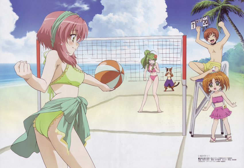 3girls :d ^_^ angry armpits arms_up ass back bandeau beach beach_volleyball bikini blush blush_stickers breasts brown_hair cat chair child clenched_hand clenched_teeth closed_eyes cloud collar day earrings everyone feet flat_chest front-tie_top green_eyes green_hair green_sarong hairband highres inukami! jewelry kawahira_keita large_breasts legs long_hair maron_(inukami) megami multiple_girls multiple_tails nadeshiko_(inukami) non-web_source object_on_head official_art open_mouth orange_hair outdoors palm_tree pink_hair plaid plaid_bikini ponytail sarong scan short_hair short_twintails sideboob sitting skirt sky smile standing swimsuit tail tanaka_chiyuki teeth tomekichi_(inukami) tomohane_(inukami) tree twintails volleyball water youko_(inukami)