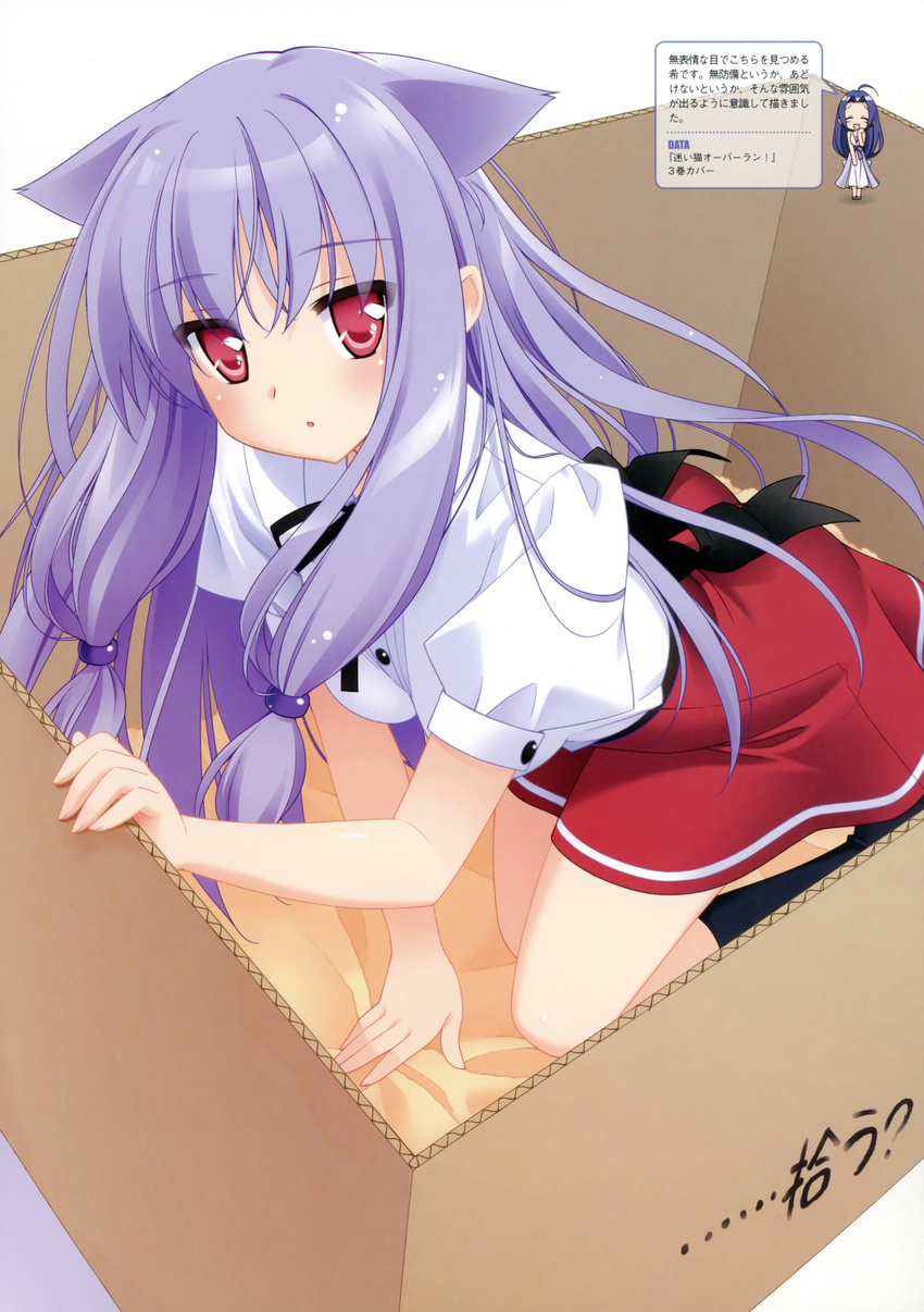 absurdres animal_ears box cardboard_box cat_ears for_adoption highres in_box in_container kiriya_nozomi long_hair mayoi_neko_overrun! multiple_girls peko purple_hair scan school_uniform tsuzuki_otome