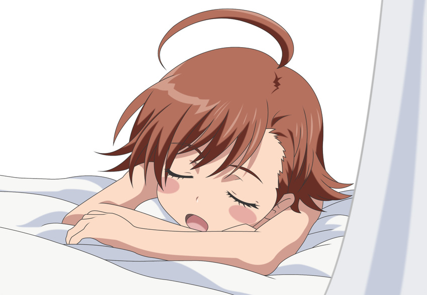 blush brown_hair last_order sleeping to_aru_majutsu_no_index vector white