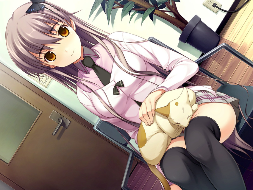 cat game_cg id_-rebirth_session- tagme thigh-highs