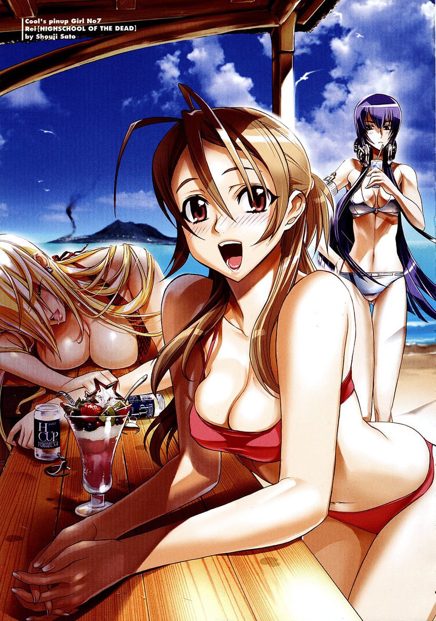 :d alcohol antenna_hair armband beach beer bent_over bikini bird blonde_hair blue_hair blush breast_press breasts brown_hair busujima_saeko can cleavage closed_eyes cloud day dessert drink drinking_straw earrings food hand_on_hip hands_clasped headphones highres highschool_of_the_dead ice_cream jewelry large_breasts lipstick long_hair makeup marikawa_shizuka miyamoto_rei multiple_girls official_art open_mouth outdoors own_hands_together red_eyes saliva satou_shouji scan scan_artifacts seagull sky sleeping smile standing sundae swimsuit thigh_gap very_long_hair water