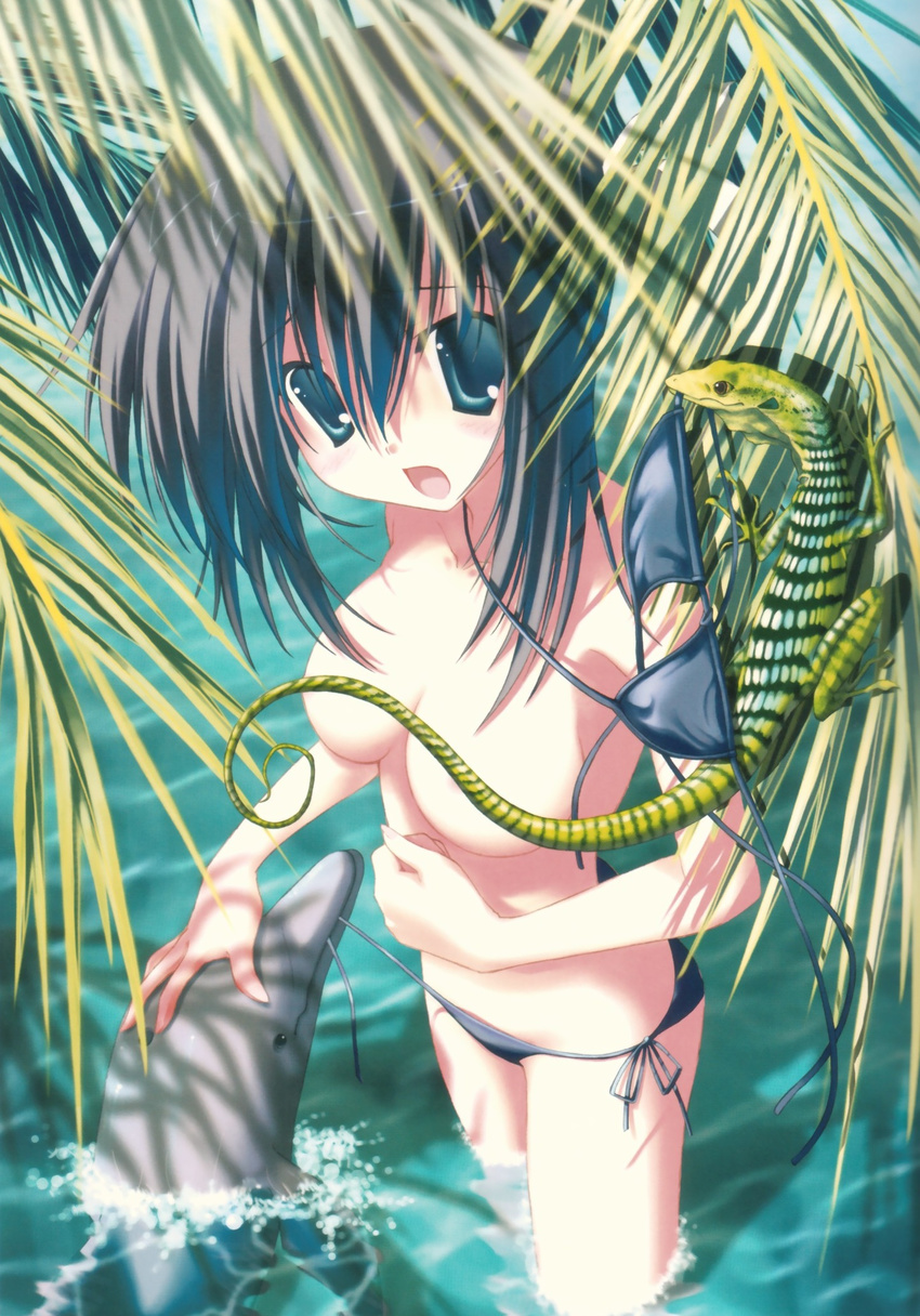 bikini copyright_request day dolphin highres lizard nanao_naru side-tie_bikini solo swimsuit topless untied