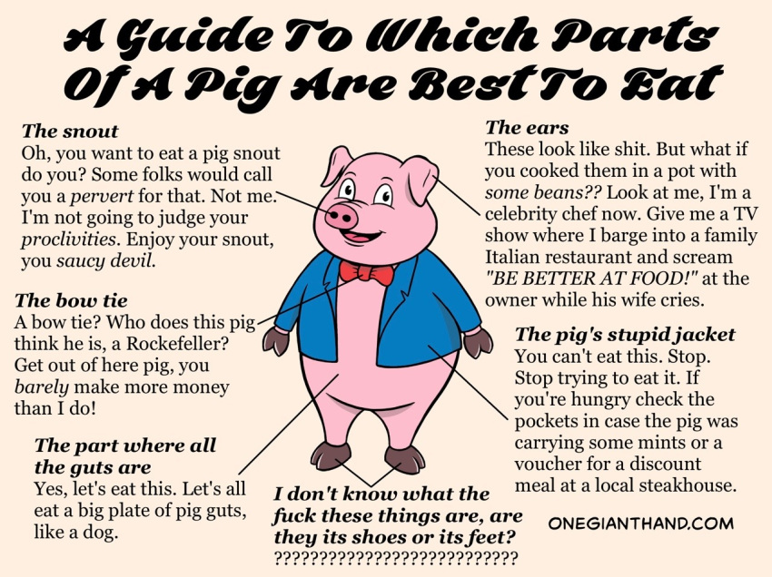 bow_tie clothing comic english_text humor jacket mammal onegianthand pig porcine smile snout text url