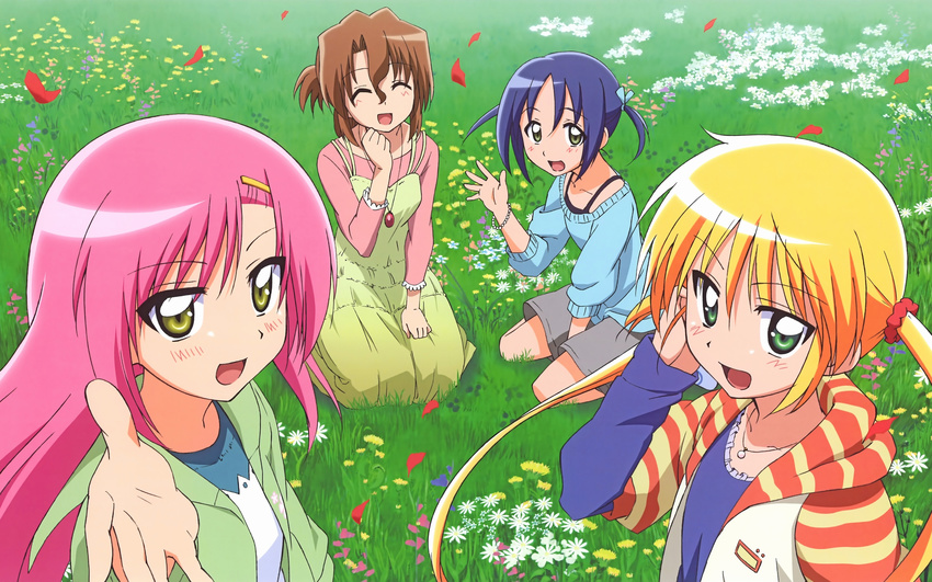 hayate_no_gotoku tagme