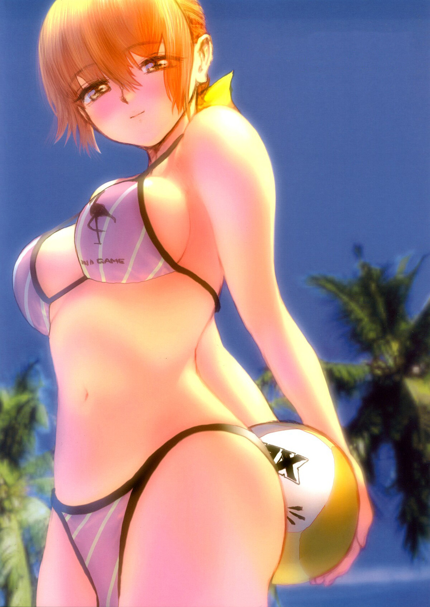 beach bikini day dead_or_alive ebina_souichi highres kasumi_(doa) ninja outdoors solo swimsuit volleyball