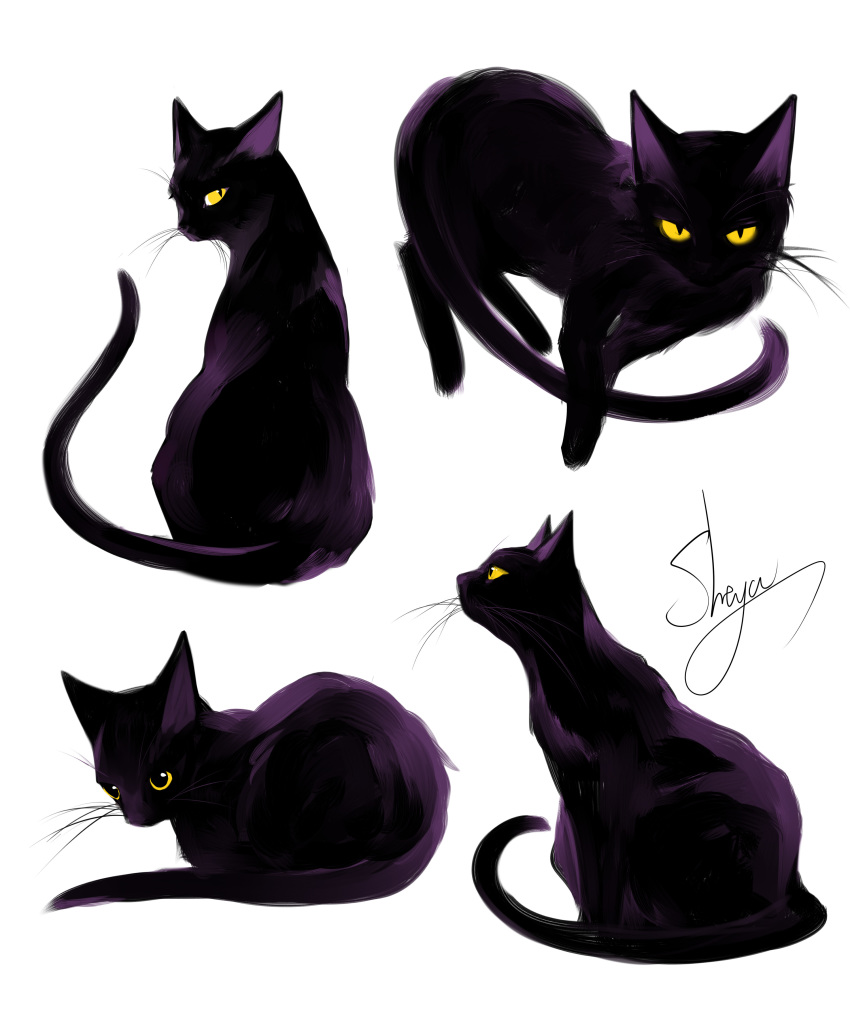 absurdres artist_name black_cat black_eyes cat cat_focus from_behind from_side highres looking_at_viewer looking_back multiple_views no_humans original sheya signature simple_background sitting whiskers white_background yellow_sclera