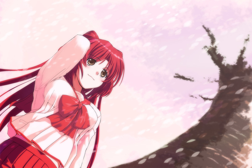 2sox[black] cherry_blossoms from_below kousaka_tamaki long_hair red_hair ribbon school_uniform solo to_heart_2 tree twintails