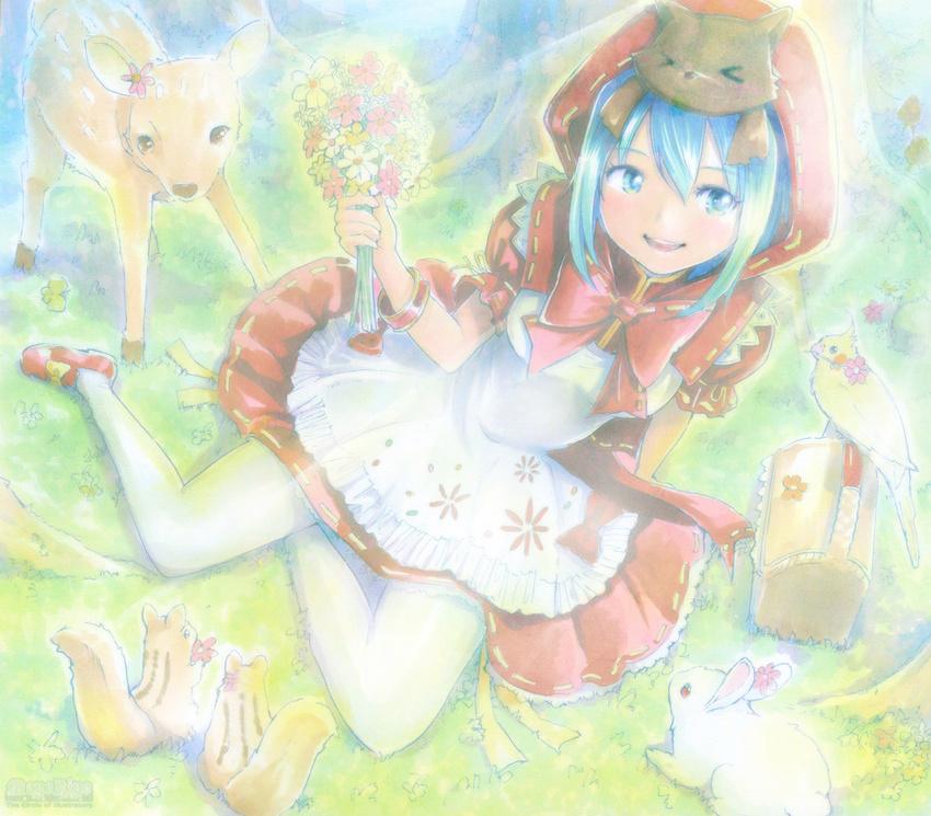 animal bad_id bad_pixiv_id bird blue_eyes blue_hair bouquet bunny deer flower grimm's_fairy_tales hatsune_miku hood little_red_riding_hood little_red_riding_hood_(grimm) mayo_riyo mikuzukin_(module) pantyhose project_diva_(series) project_diva_2nd sitting solo squirrel vocaloid