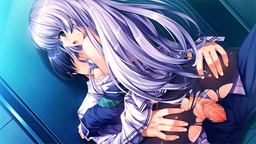 blue_eyes blue_hair blush furukawa_yui game_cg misaki_kurehito nipples penis pussy sex torn_clothes ushinawareta_mirai_wo_motomete wet