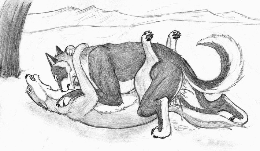 bagheera canine cum cum_inside female feral knot male missionary_position open_mouth paws penetration raised_tail sketch straight tail winter wolf