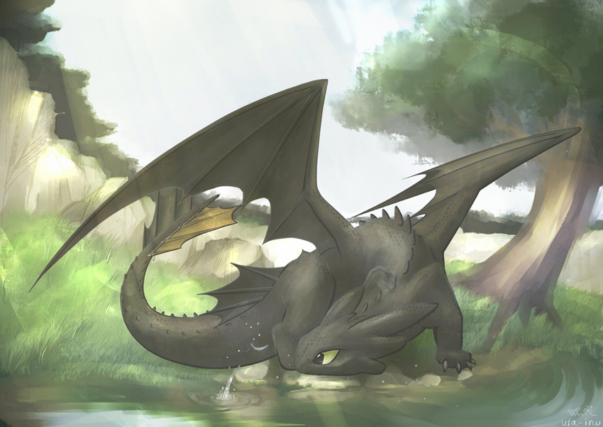 feral grass grey_scales hi_res how_to_train_your_dragon male night_fury solo toothless tree uta-inu water wings wood