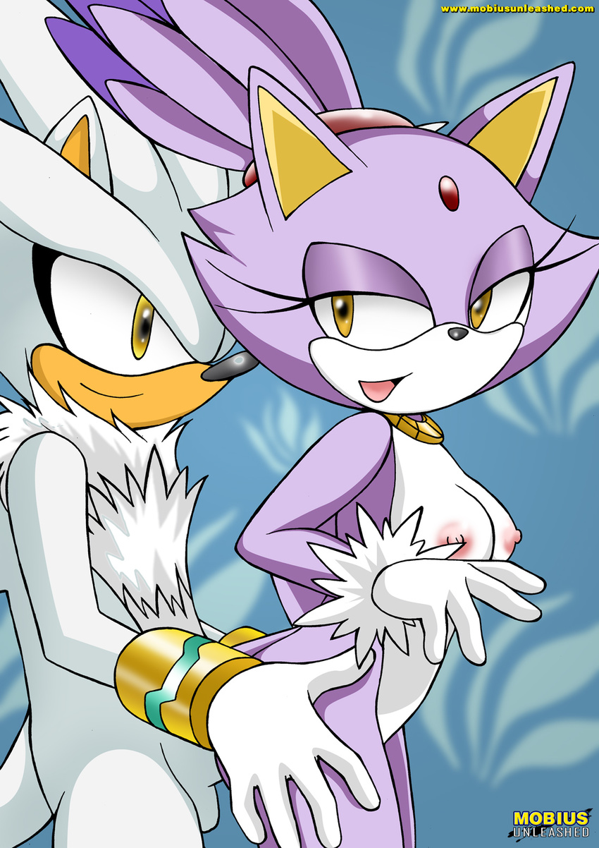 bbmbbf blaze_the_cat breasts cat feline female male mobian mobius_unleashed silver_the_hedgehog sonic_(series)