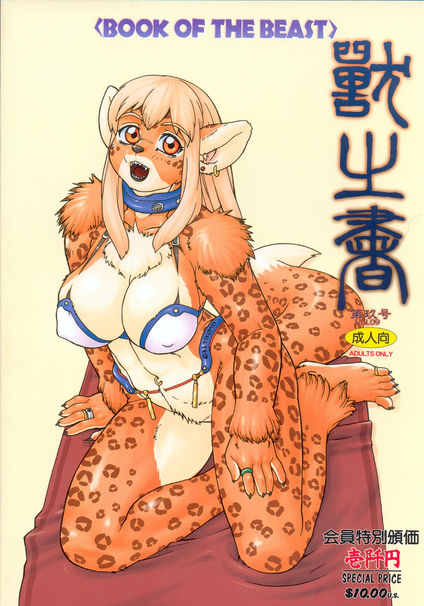 book_of_the_beast bra breasts feline female hi_res japanese_text jewelry leopard navel_ring open_mouth orange orange_eyes ring rug solo trump