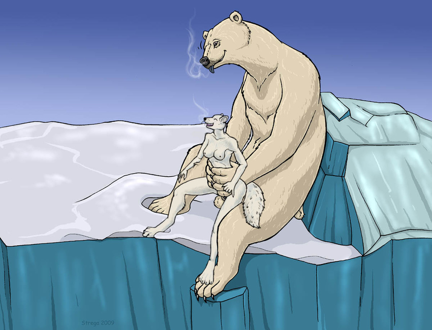 arctic_fox bear breasts breath_condensation canine cold female fox ice male mammal penetration polar_bear size_difference snow strega vaginal vaginal_penetration