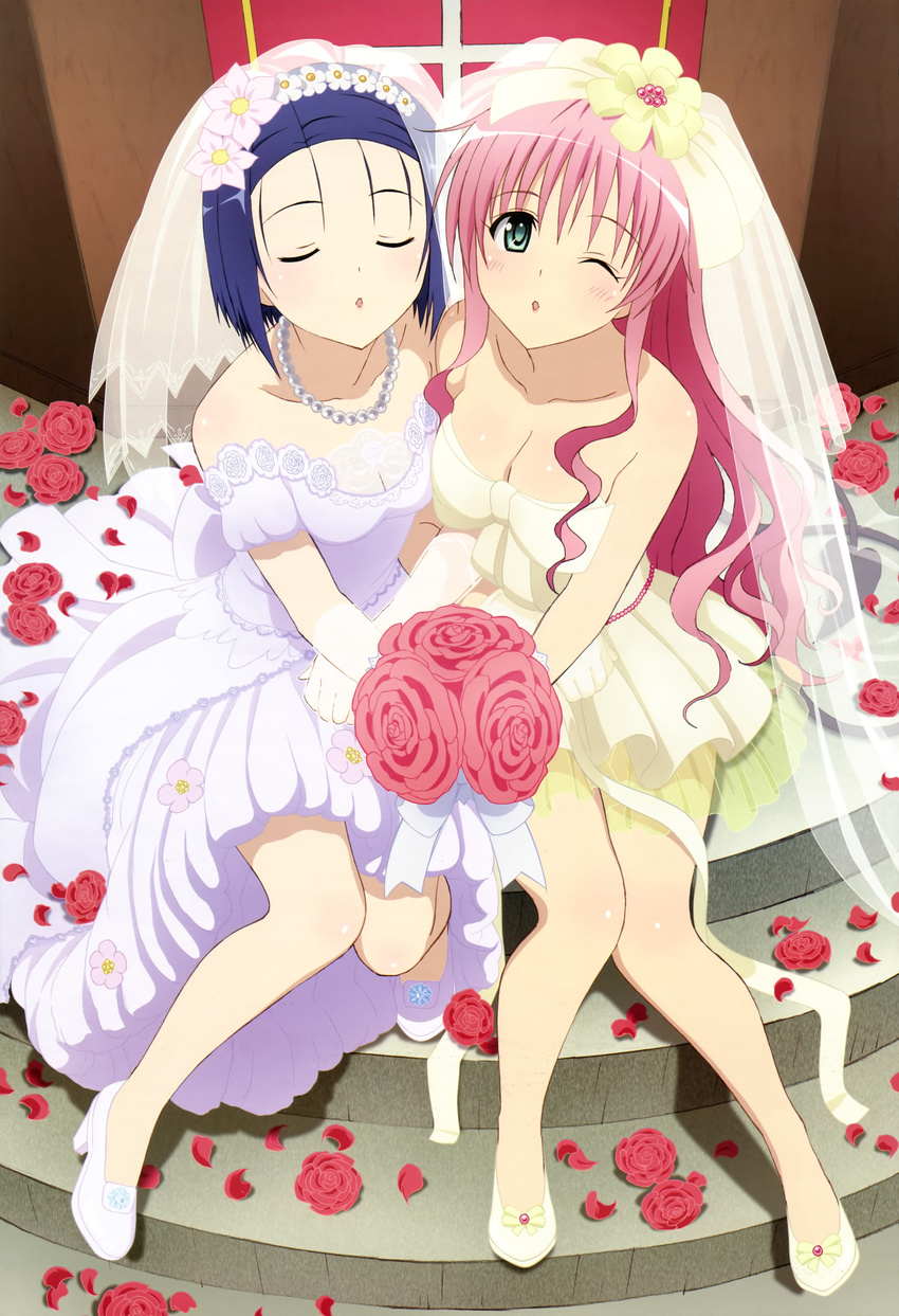 absurdres blue_hair breasts cleavage closed_eyes dress elbow_gloves flower gloves green_eyes hair_flower hair_ornament highres incoming_kiss jewelry lala_satalin_deviluke long_hair medium_breasts multiple_girls necklace non-web_source nyantype official_art one_eye_closed petals pink_hair red_flower red_rose rose rose_petals sairenji_haruna scan short_hair take_your_pick to_love-ru tsurukubo_hisako veil very_long_hair wedding_dress white_gloves