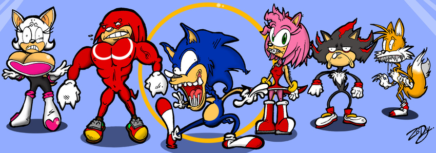amy_rose canine female fox hedgehog knuckles_the_echidna male miles_prower nightmare_fuel rouge_the_bat shadow_the_hedgehog sonic_(series) sonic_the_hedgehog what zody