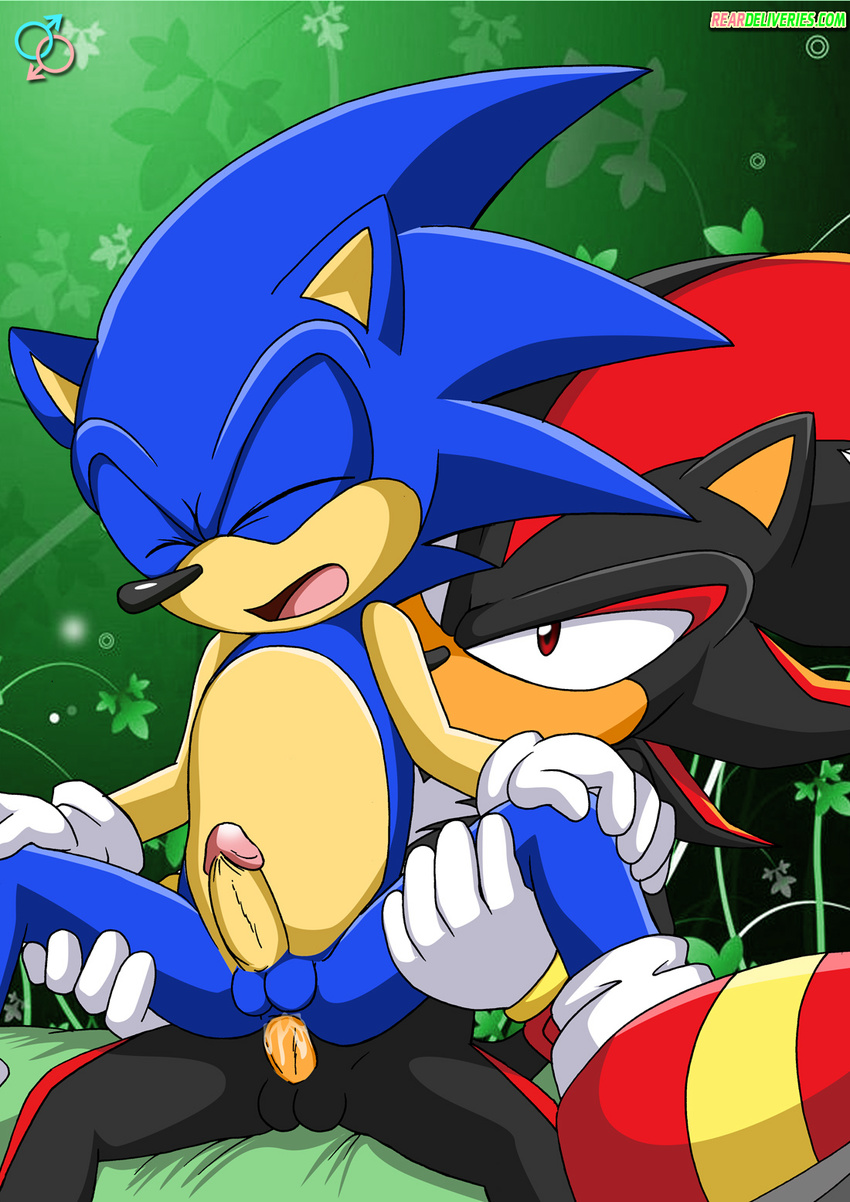 anal cum cum_in_ass cum_inside erection gay hedgehog male mobian penis sega sex shadow_the_hedgehog sonic_(series) sonic_the_hedgehog