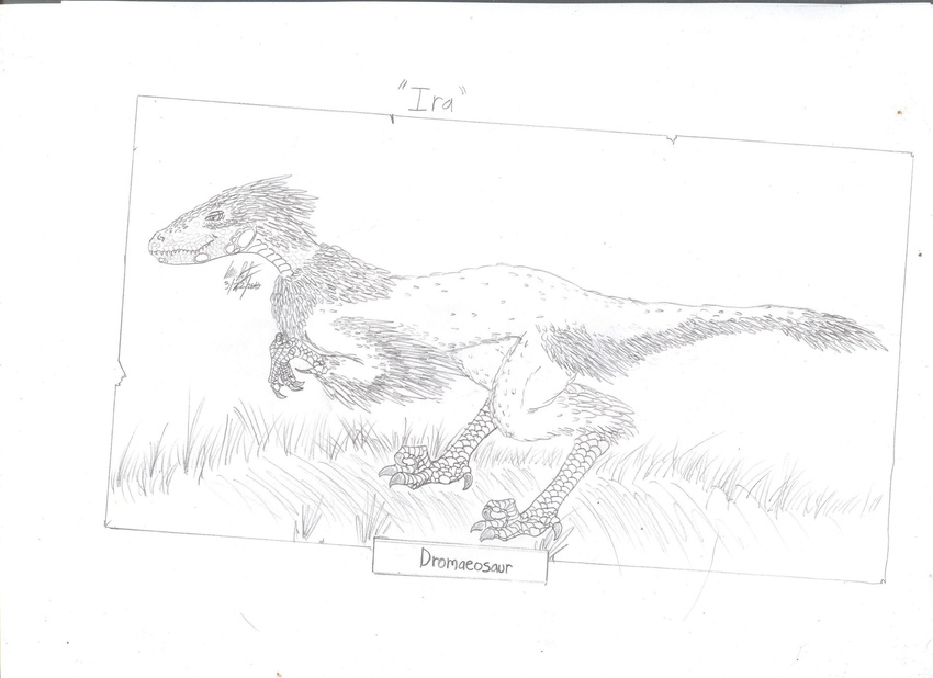 absurd_res commission dinosaur dromaeosaur feather female hi_res scalie simple_background sketch solo xianis