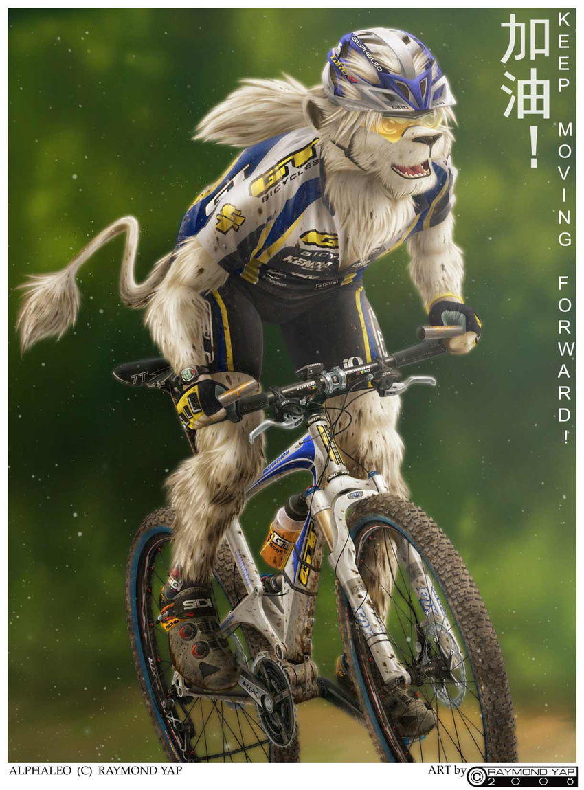 2008 alphaleo bicycle caption chinese_text clothed colored cyclist drink ear_tufts english_text feline framed goggles gt_marathon han_characters helmet lion male outside panting racing raymond_yap solo tail translated watch white