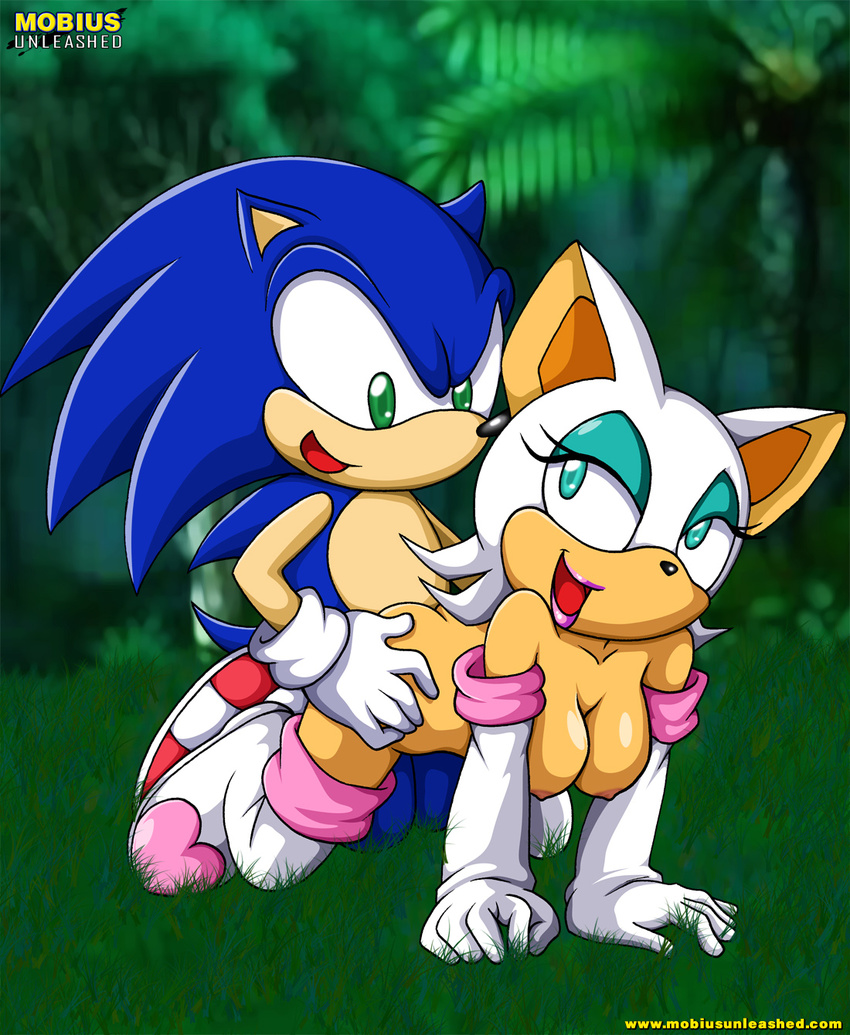 bat breasts doggy_position female forest hedgehog lipstick male mobius_unleashed nude penetration rouge_the_bat sex sonic_(series) sonic_the_hedgehog straight tree