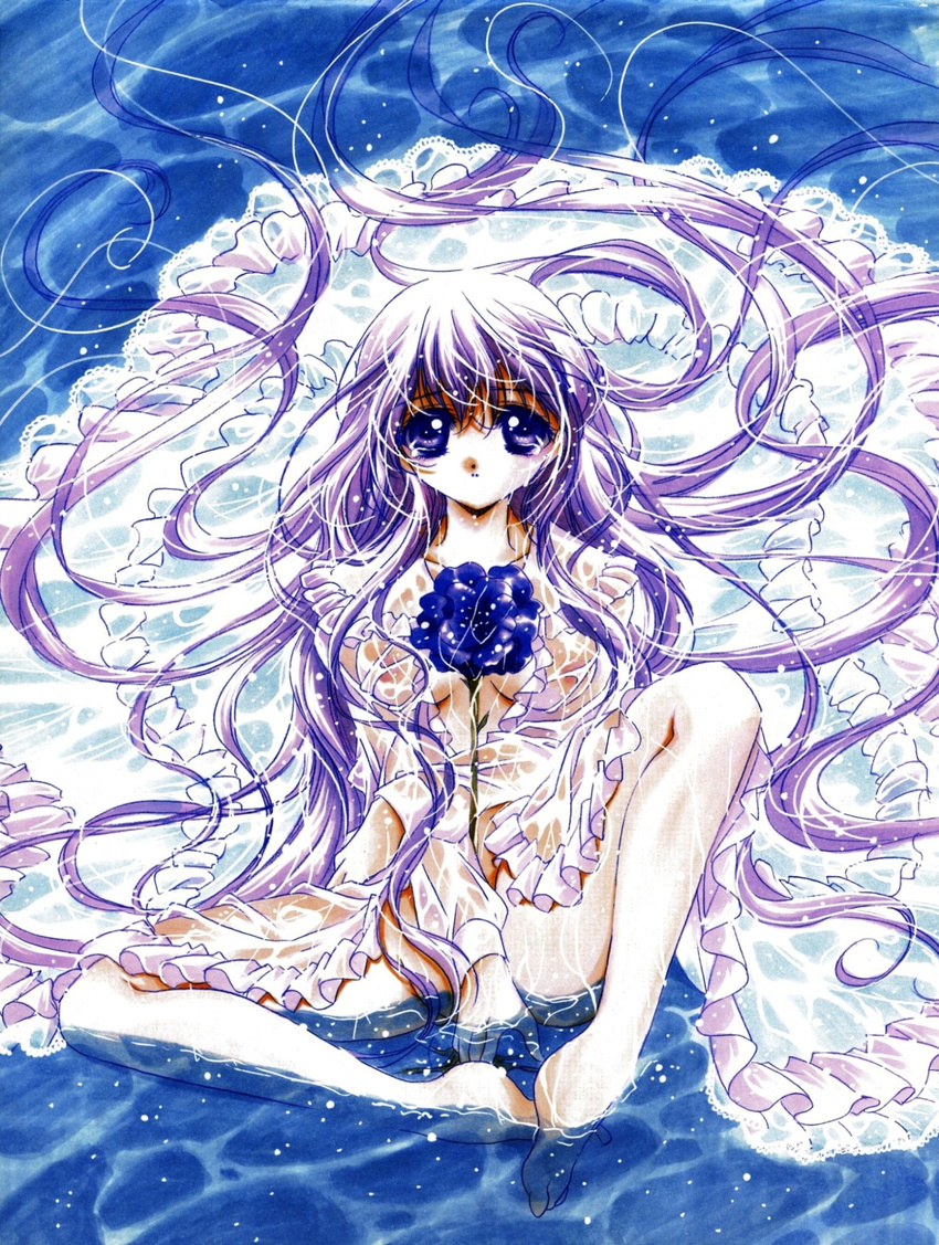 artist_request barefoot blue_background breasts censored cleavage convenient_censoring copyright_request flower frills highres long_hair medium_breasts no_panties purple_eyes purple_hair sitting solo source_request very_long_hair water wet