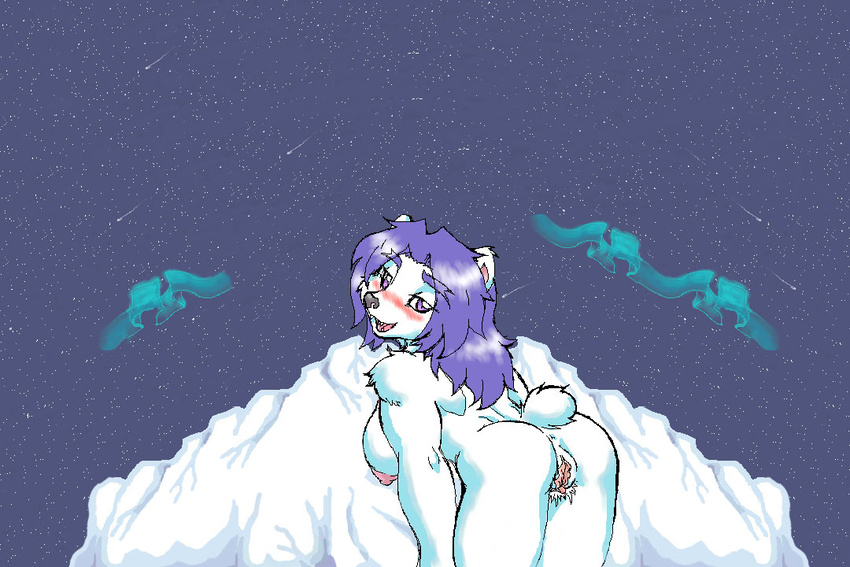 arctic bear bent_over blush breasts female looking_at_viewer mariano mooning polar_bear presenting purple_hair pussy solo