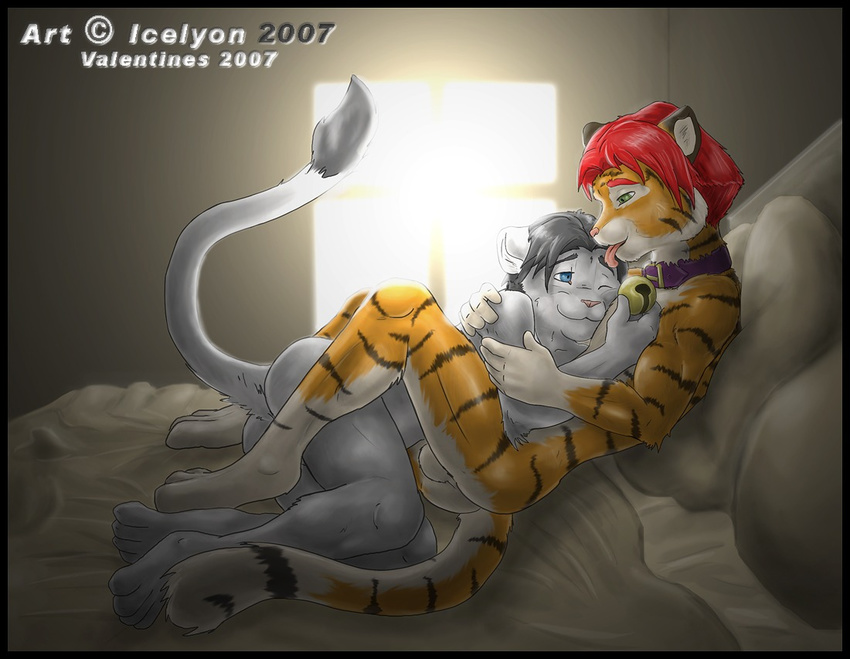 2007 bell collar couple cuddle feline gay icelyon icelyon_(character) joshua licking lion male tiger tongue valentines_day