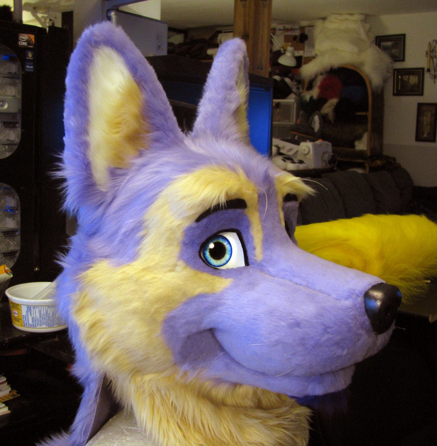 anthro blue_eyes canine dog firestormsix fursuit german_shepherd headshot headshot_portrait lavshep looking_at_viewer male mammal photo portrait real smile solo