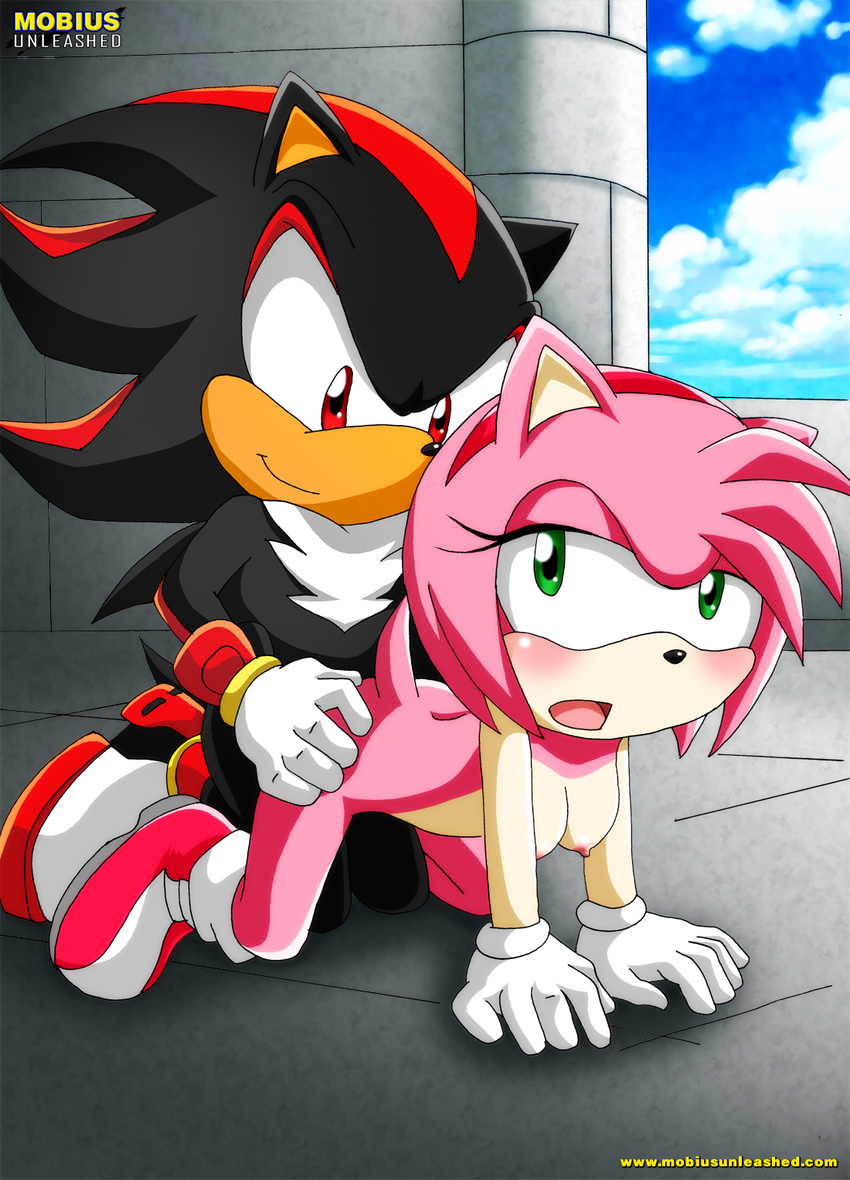 amy_rose blush clouds doggy_position female gloves green_eyes hair hedgehog male mobius_unleashed nipples nude open_mouth pink_hair red_eyes sex shadow_the_hedgehog shoes short_hair smile sonic_(series) straight tail