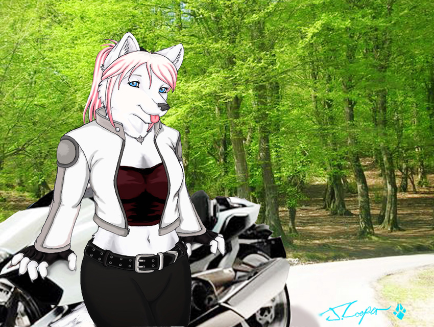 2009 blue_eyes canine clothed ear_tufts female forest gloves looking_at_viewer motorcycle necklace outside pink_hair ragnarok solo talya tongue tree vehicle wolf woods
