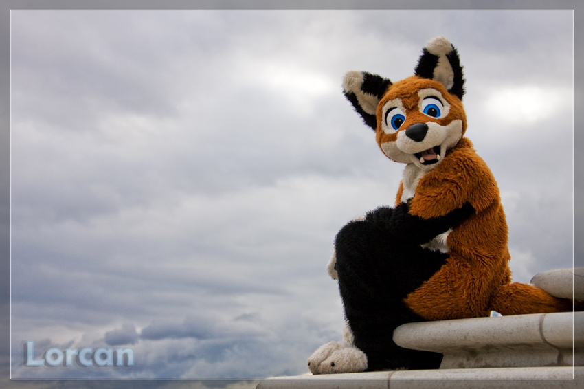 blue_eyes canine fox fursuit looking_at_viewer lorcan mammal outside photo real scenic sky solo unknown_artist wallpaper