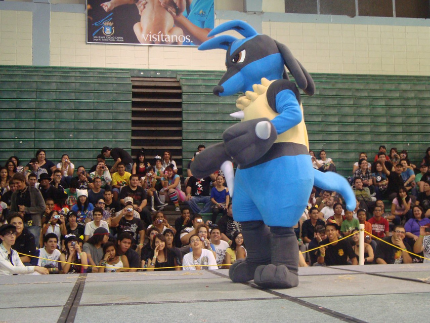 baby brown_eyes butt cosplay crowd funny fursuit human humor lucario mammal nintendo photo pok&#233;mon pok&eacute;mon real unknown_artist video_games visitanos young