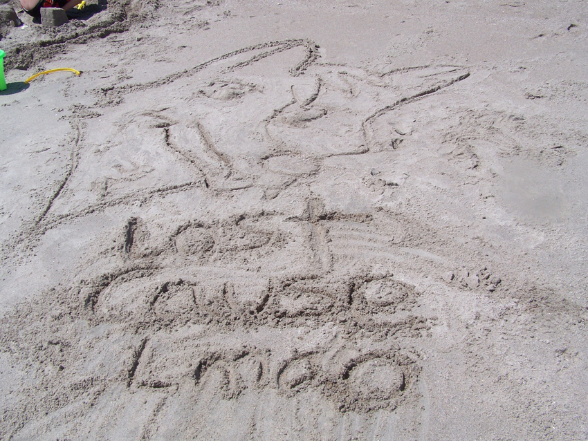 canine hi_res lostcauselmao picture sanddrawing