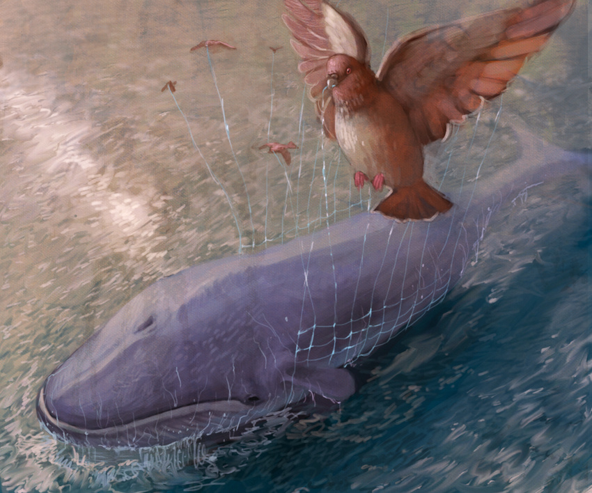 animal bird fail_whale net no_humans ocean realistic twitter whale