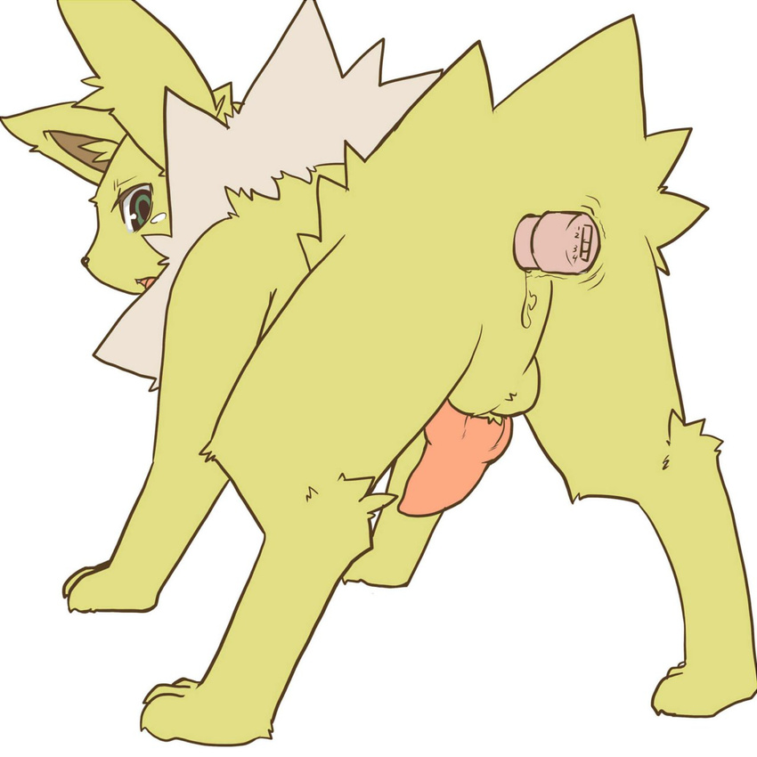 all_fours animal_genitalia balls canine_penis eeveelution jolteon knot kosian male nintendo penis pok&#233;mon pokemon solo video_games